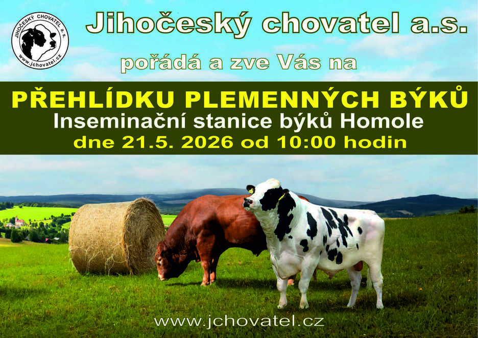 JCh přehlídka pozvánka 2026 2