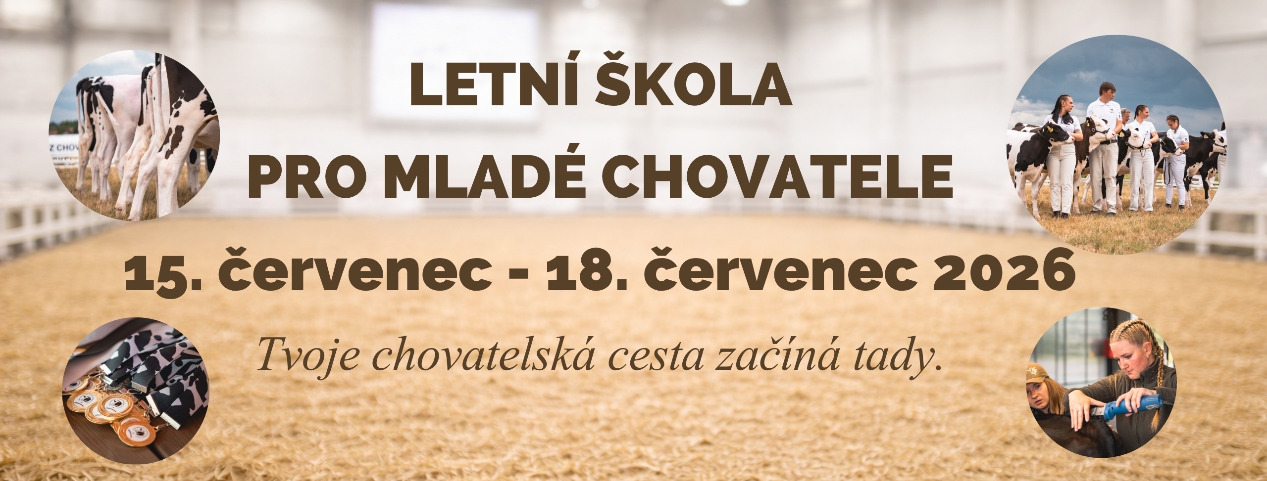 Letní škola banner 2