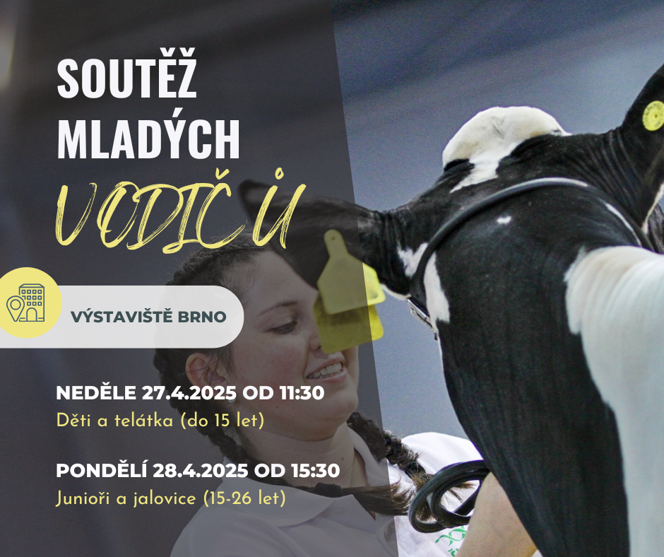 Soutěž mladých vodičů 1