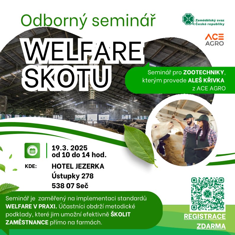 welfare