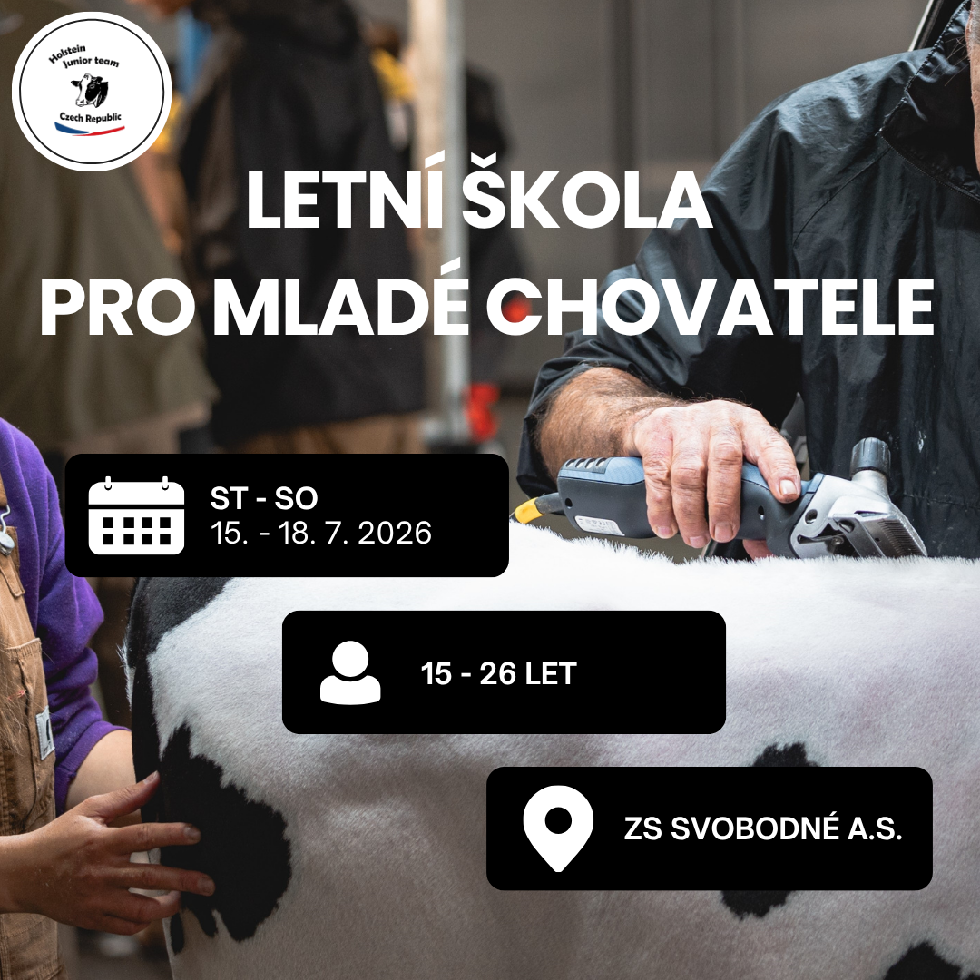 Red Modern Meeting Invitation Instagram Post