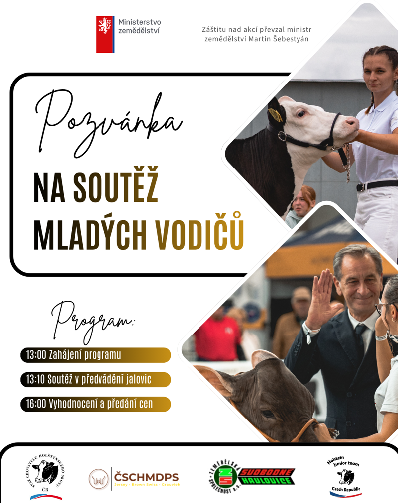 Soutěž_Letní_školy.jpeg