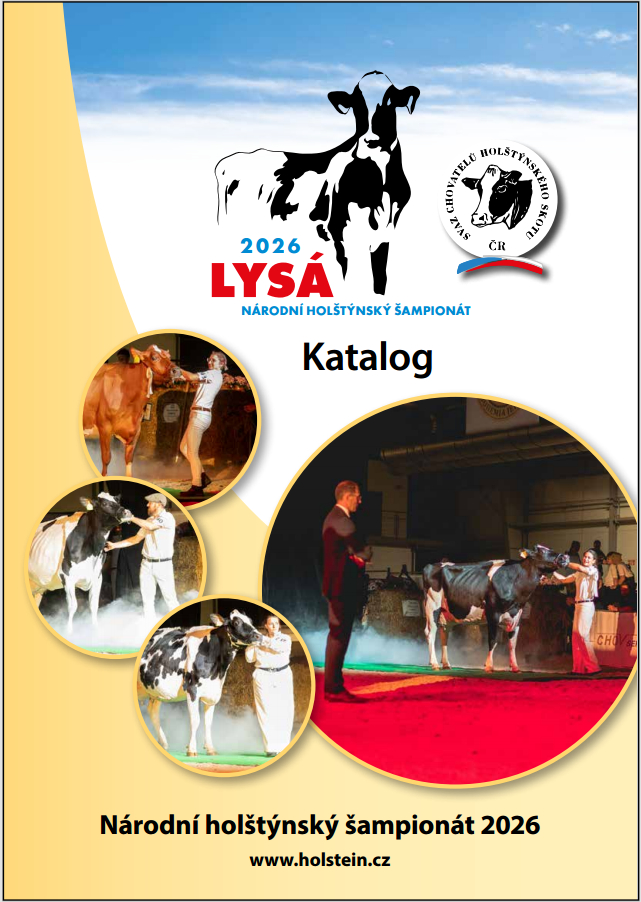 katalog.jpeg