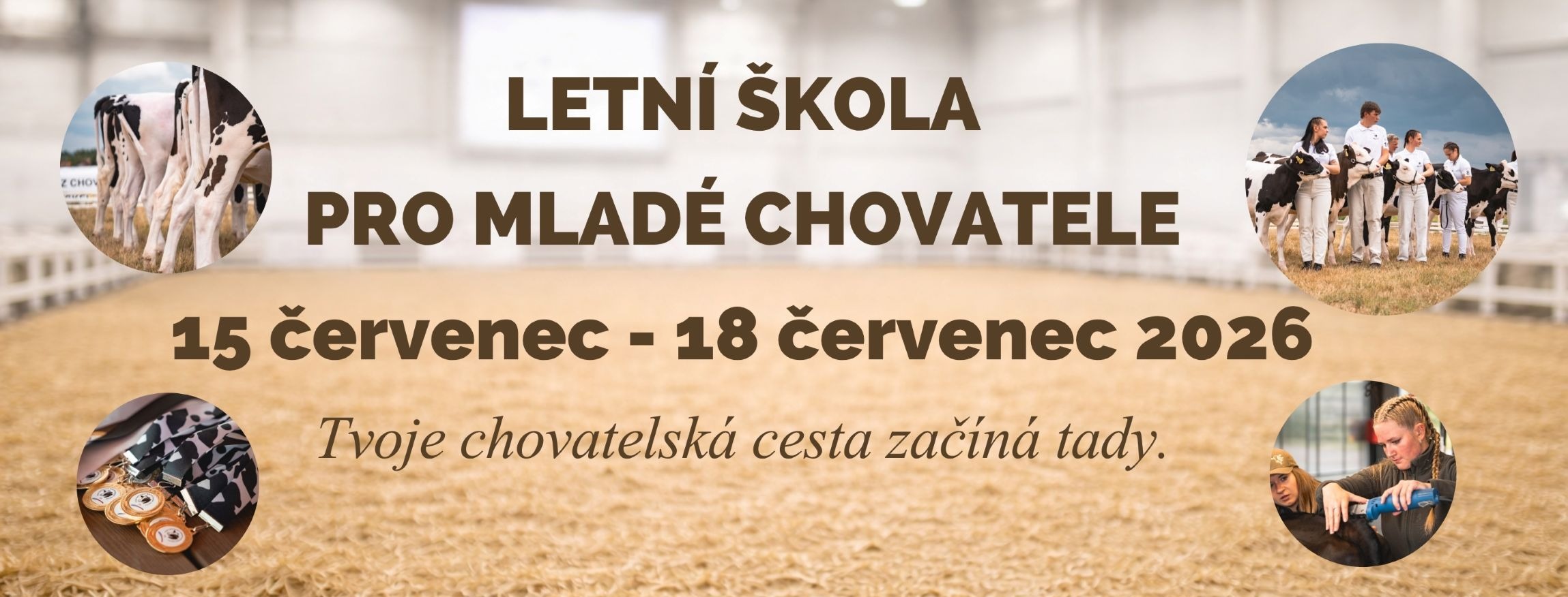 letní škola banner