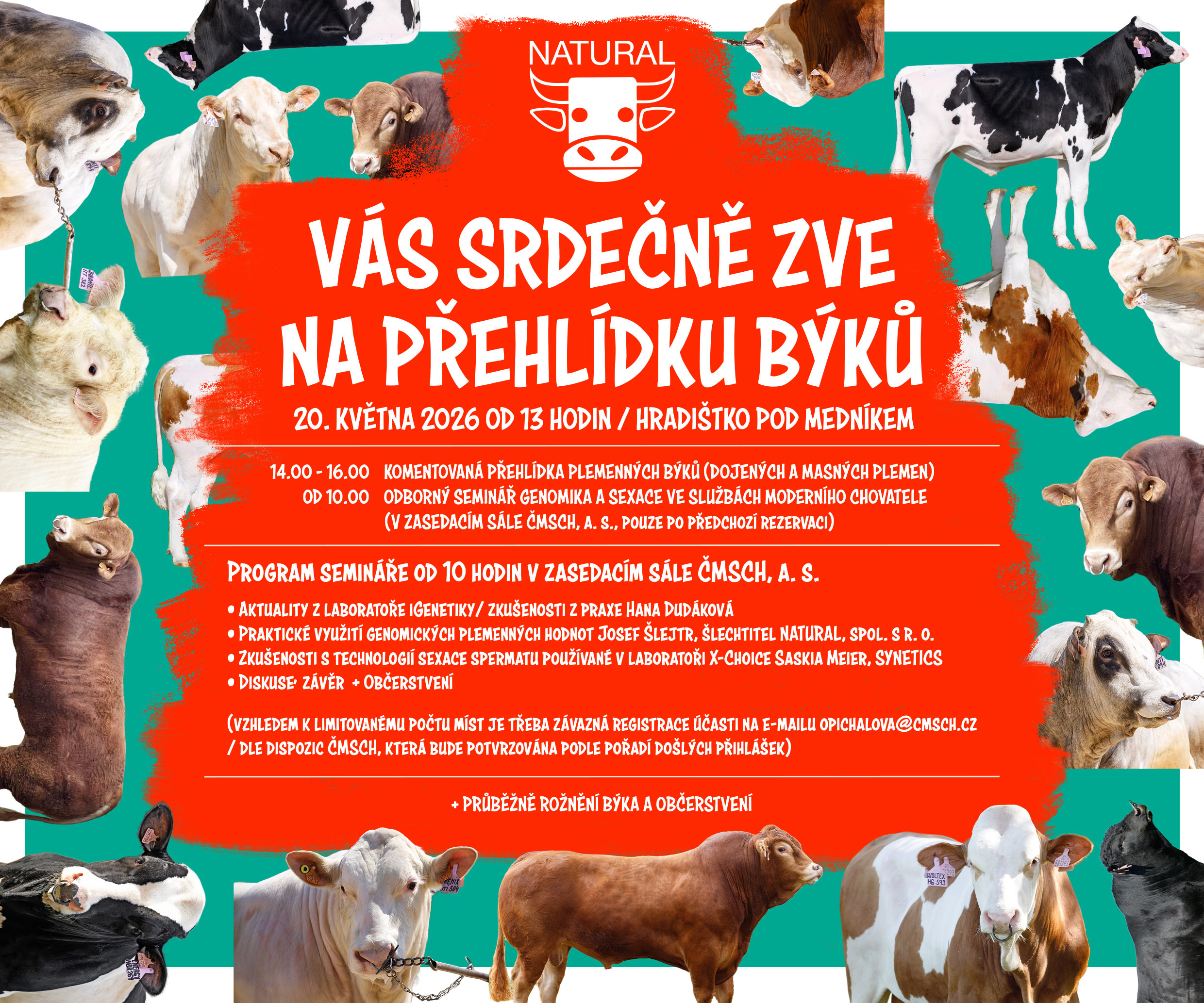 pozvanka finale web Natural