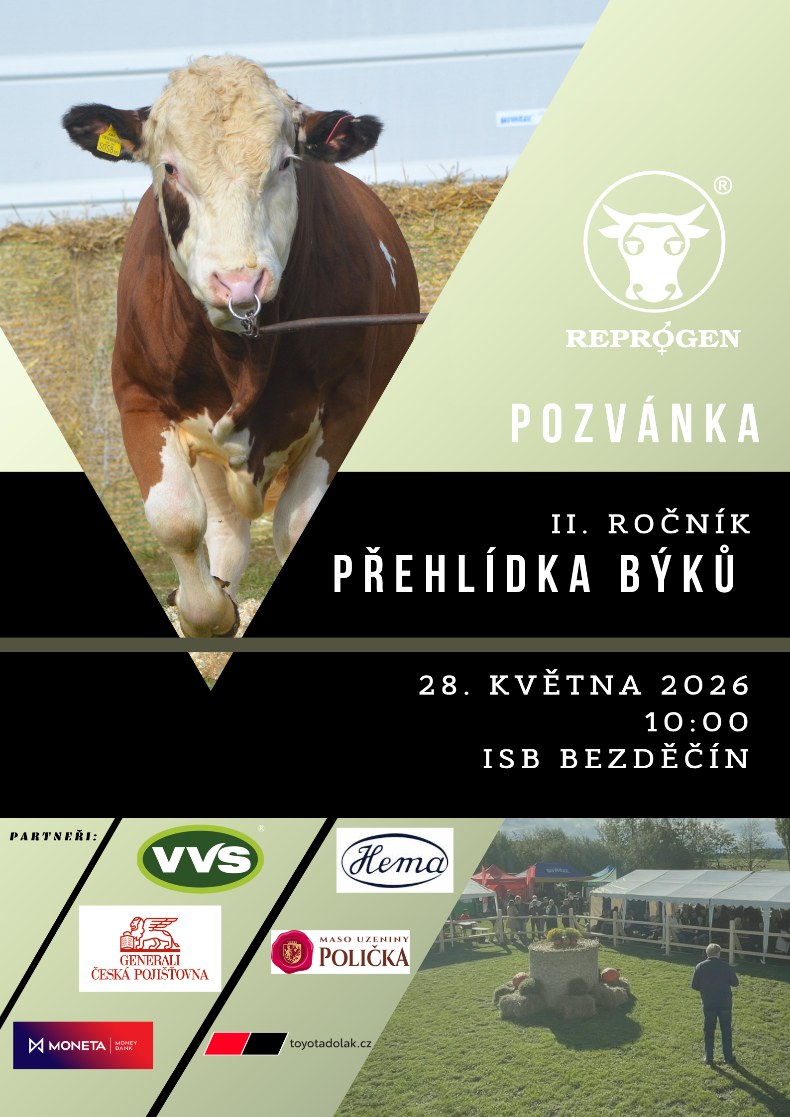 přehlídka býků ISB Bezděčín 28.5.2026 002
